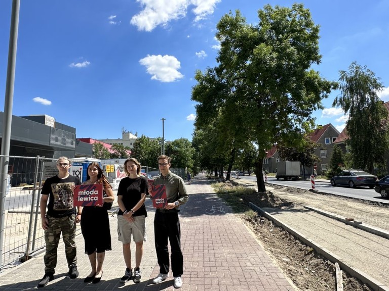 Młoda Lewica walczy o drzewa. Rusza zbiórka podpisów przeciwko wycince