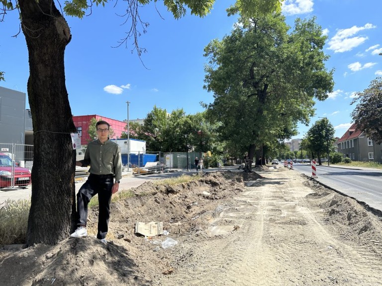 Młoda Lewica walczy o drzewa. Rusza zbiórka podpisów przeciwko wycince