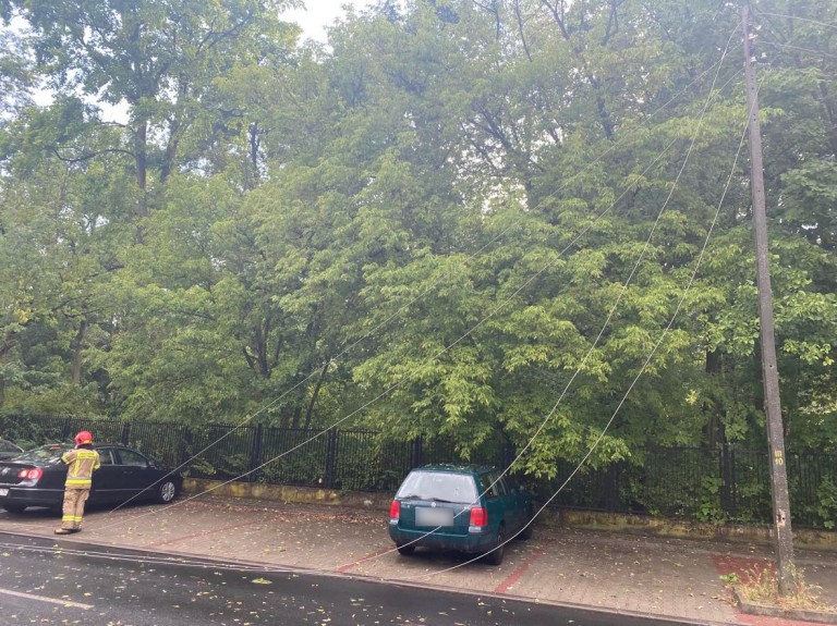 Drzewo spadło na auto przy ul. Kościuszki. Park im. F. Chopina zamknięty