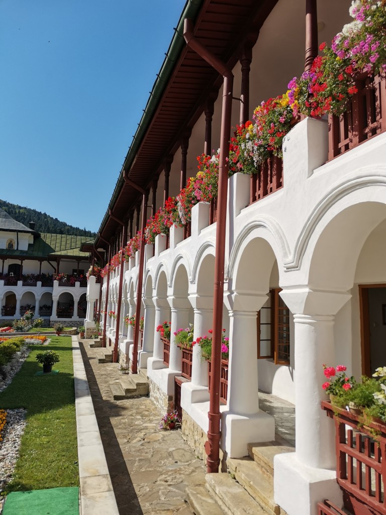 Zakochany w Rumunii. Piotr Gołdyn i jego podróżnicze fascynacje