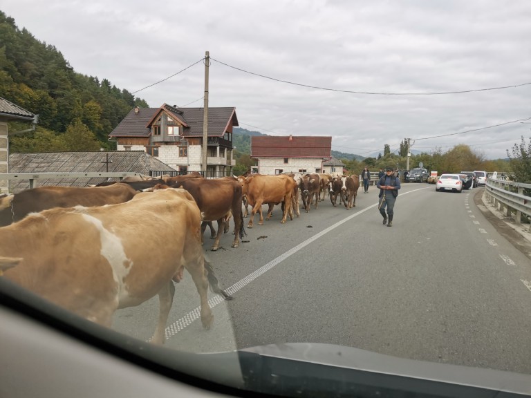 Zakochany w Rumunii. Piotr Gołdyn i jego podróżnicze fascynacje