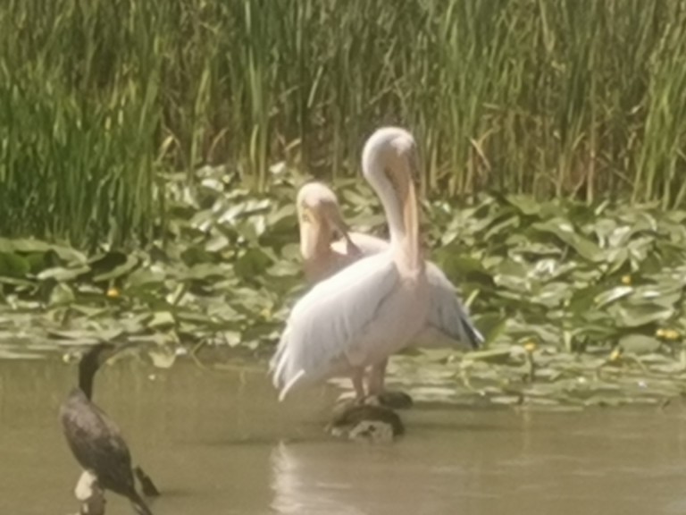 Zakochany w Rumunii. Piotr Gołdyn i jego podróżnicze fascynacje