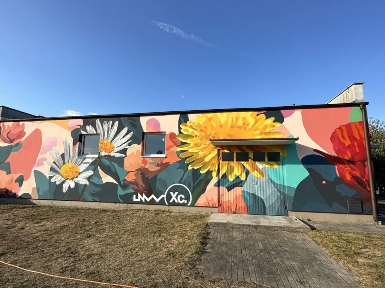 Metamorfoza hydroforni. Kwiatowy mural hitem sołeckiego festynu