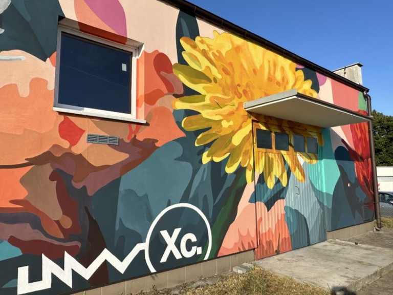 Metamorfoza hydroforni. Kwiatowy mural hitem sołeckiego festynu