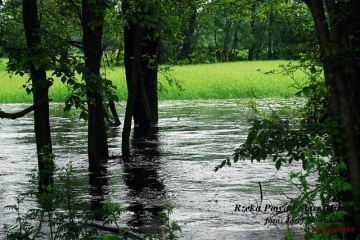 Konin: Duża woda przyjdzie w niedzielę