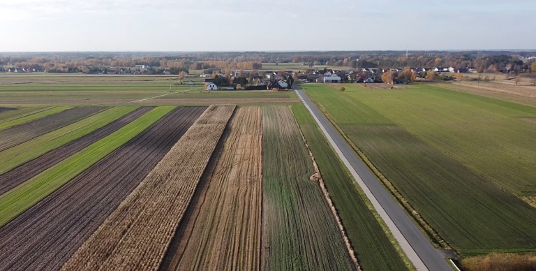 Kierunek: rozwój przedsiębiorczości