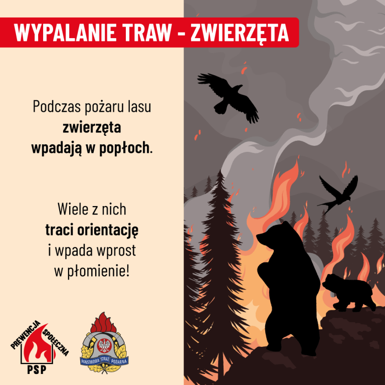 Czternaście pożarów traw w tydzień. Strażacy przypominają, że to nielegalne