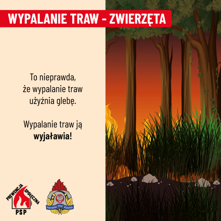Czternaście pożarów traw w tydzień. Strażacy przypominają, że to nielegalne