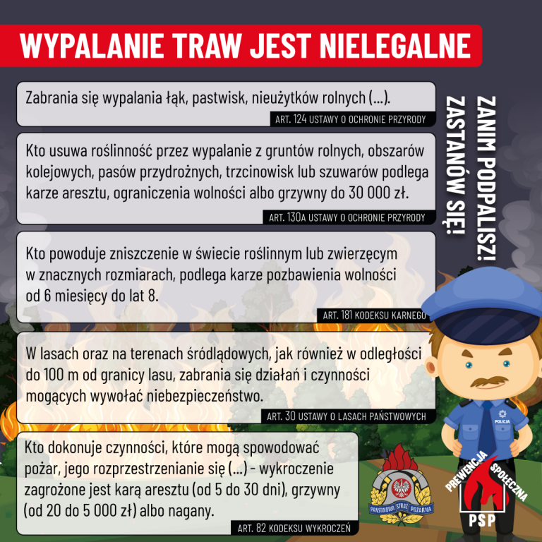 Czternaście pożarów traw w tydzień. Strażacy przypominają, że to nielegalne