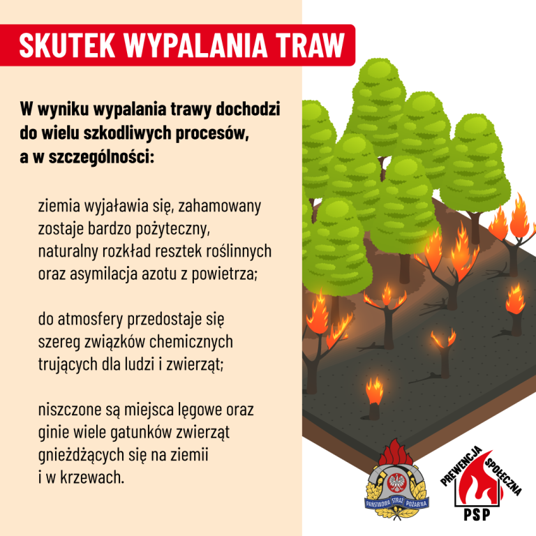 Czternaście pożarów traw w tydzień. Strażacy przypominają, że to nielegalne