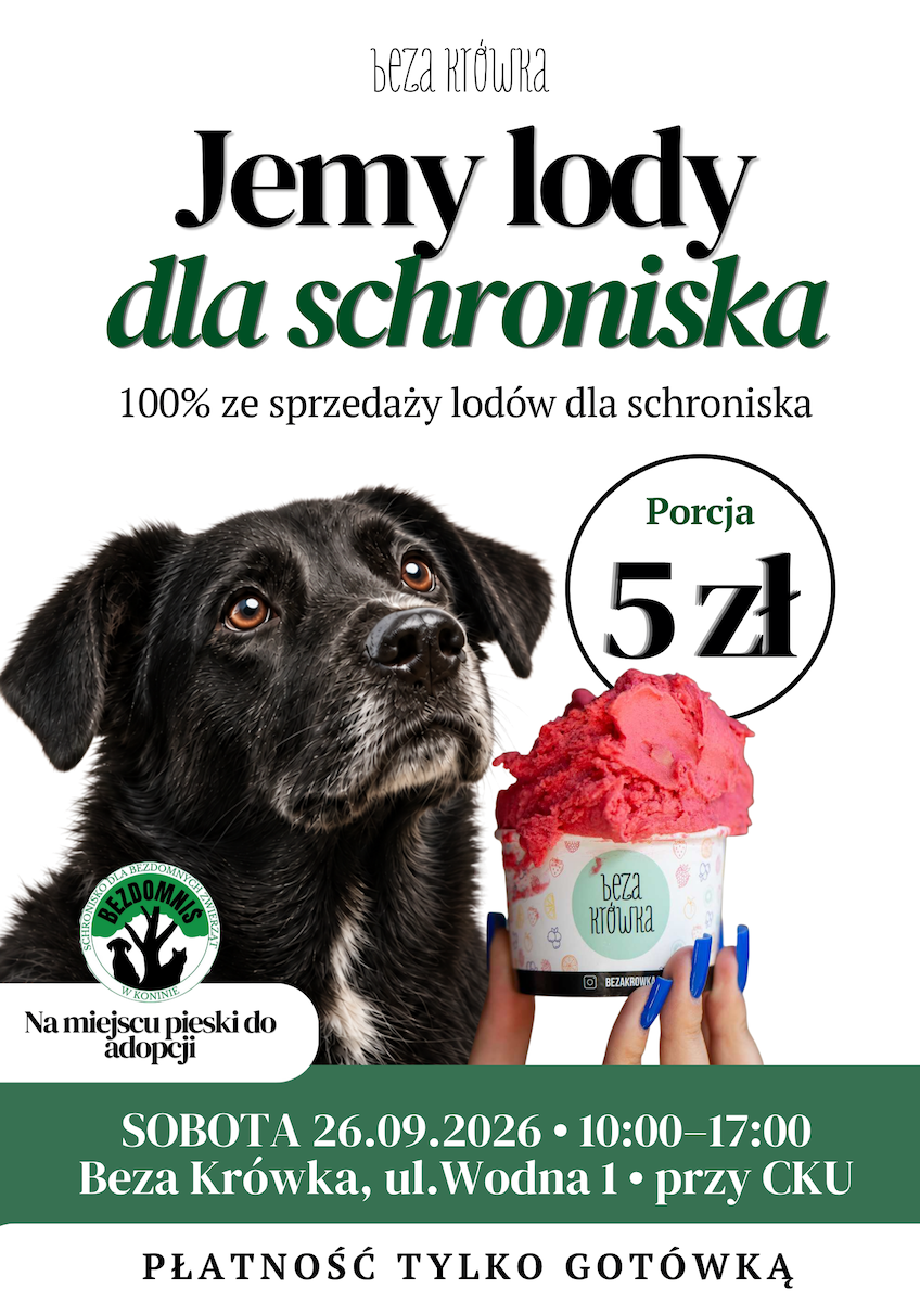 Zjedz lody, pomóż schronisku. Niezwykła akcja już w tę sobotę