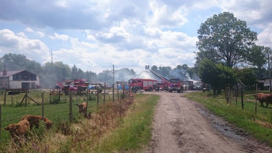 W Grodźcu zapaliła się hala magazynowa po dawnym PGR