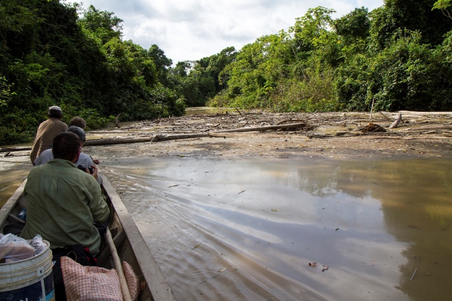 Na sześć tygodni wyjadą do dżunglii śladami Fiedlera