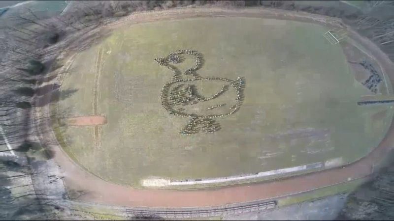 Kaczki Średnie. Nazwa miejscowości zainspirowała do życzeń