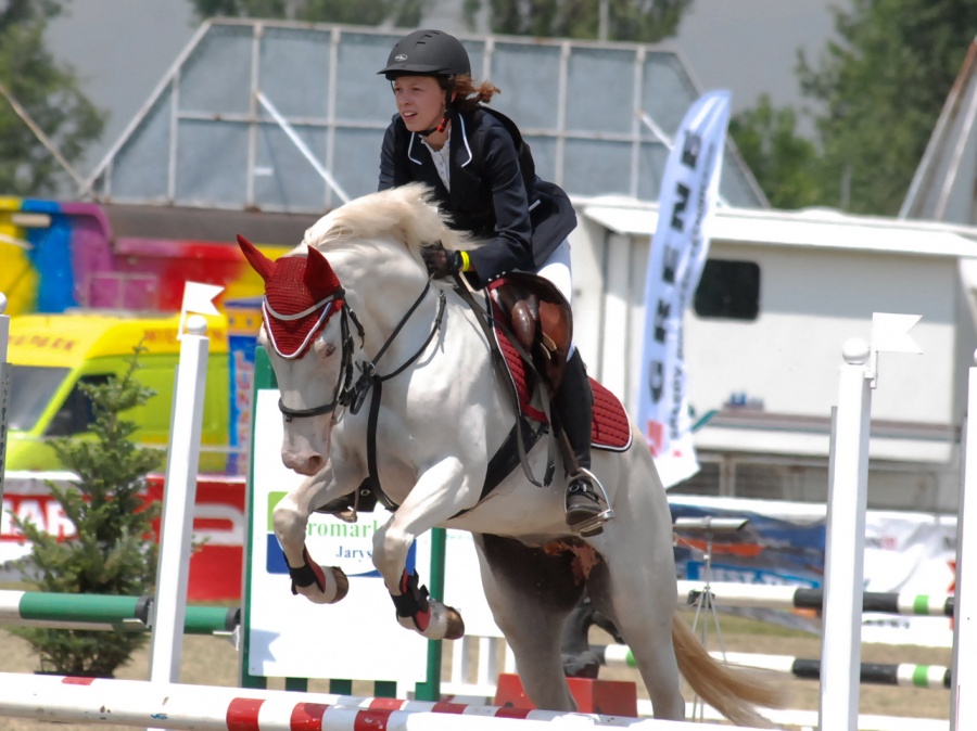 Piękne konie na Dni Konina. Trwa Grene Cup 2016