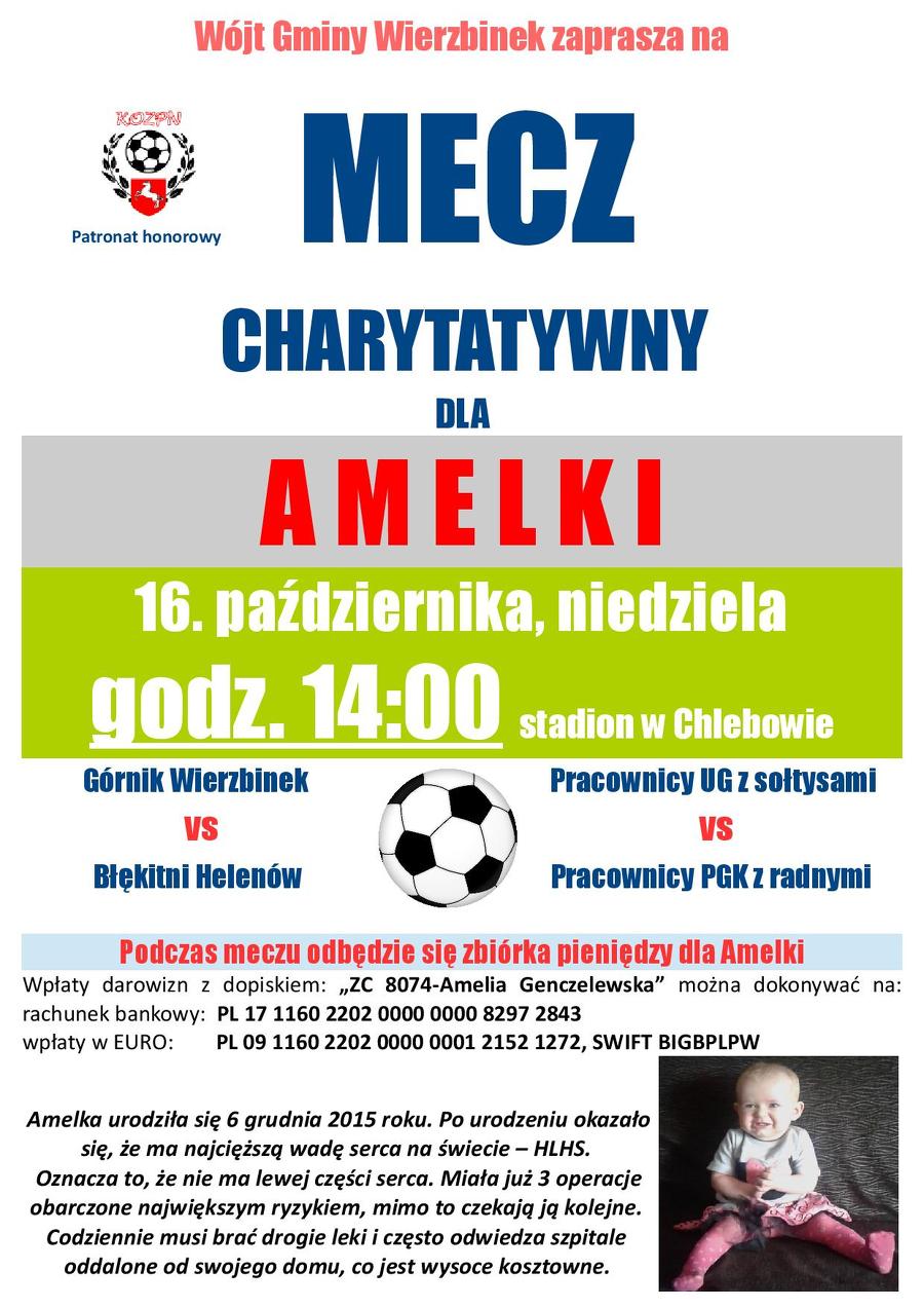 Wierzbinek. Charytatywny piknik sportowy dla chorej Amelki