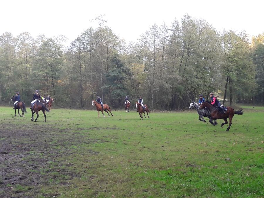 Hubertus i gonitwa za lisią kitą. Jeźdźcy świętowali w Tr&oacute;jce