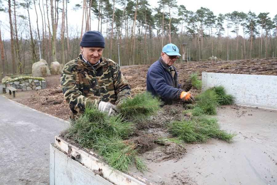 Grąblin. Na terenie sanktuarium maryjnego rośnie las sosnowy&Acirc;&nbsp;