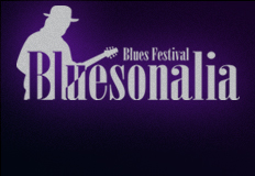 23. Międzynarodowy Festiwal Bluesowy BLUESONALIA
