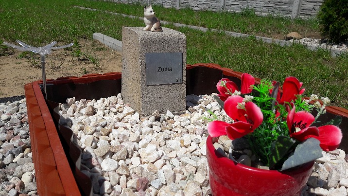 Za tęczowym mostem. Pierwszy w regionie cmentarz dla zwierząt