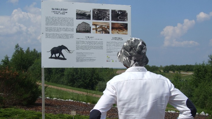 Kleczew. Czarny szlak słonia leśnego został oficjalnie otwarty!