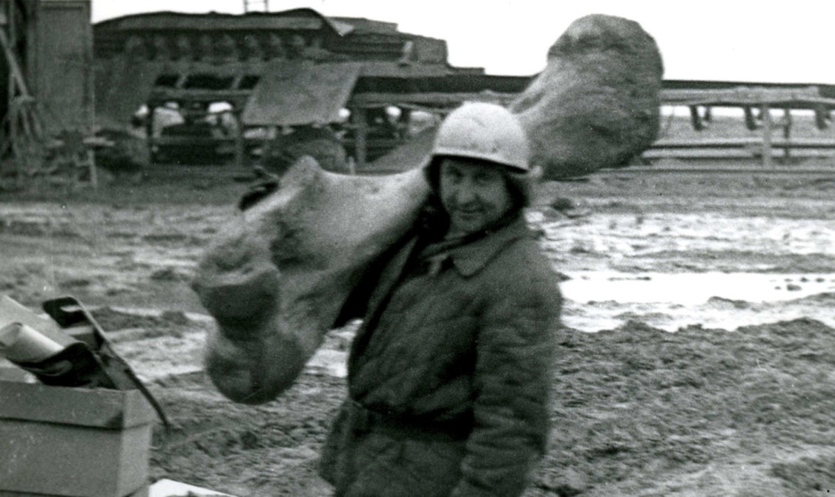 Kiedy ulicą Przemysłową maszerowały słonie i olbrzymie jelenie