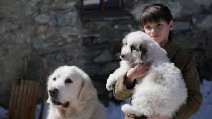 NIE PRZEGAP! (Zapowiedzi, konkursy, bilety do wygrania)