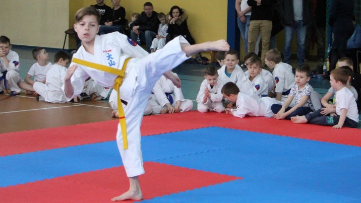 Karate. Na mistrzostwach w Dąbiu rywalizowali w kata i soft-kijach