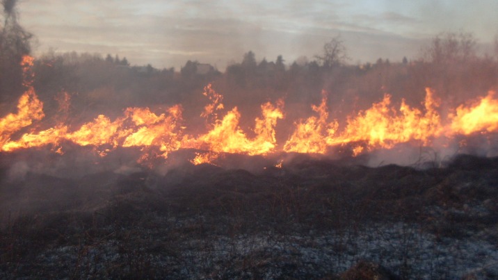 Pożary traw w powiecie konińskim. Prawdopodobne podpalenia