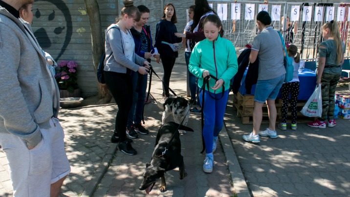 Konin. &bdquo;Pieski spacer&rdquo;. Zabrakło zwierząt dla kilkuset chętnych!