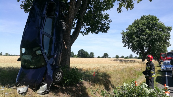 Jaroszewice Grodzieckie. Zjechał z drogi i zatrzymał się na drzewie