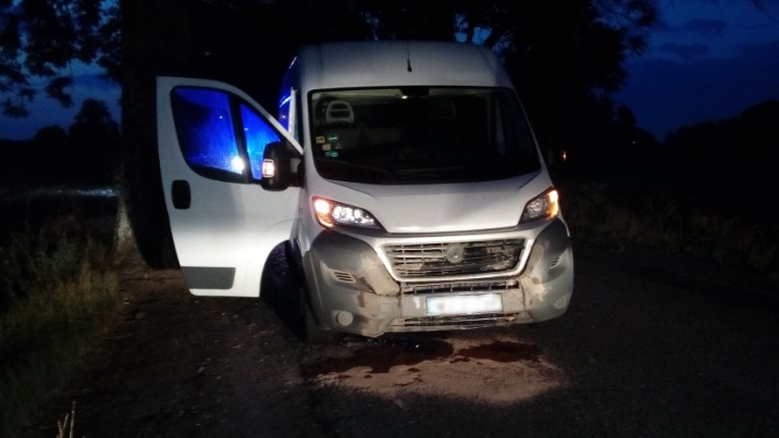 Groźny wypadek w Żelazkowie. Kierujący busem potrącił dzika