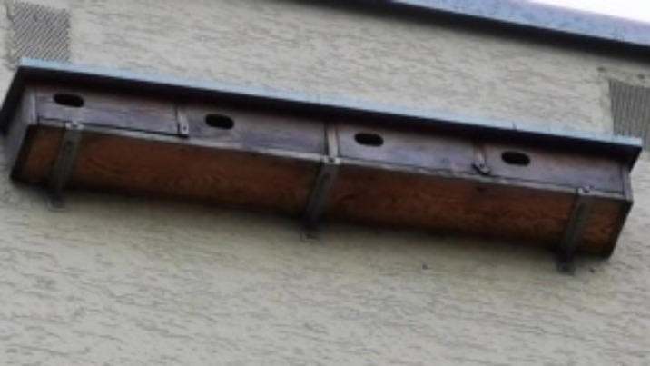 "Zieloni" apelują do prezydenta o ekologiczną walkę z komarami