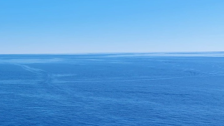 PiS zwr&oacute;cili się o pośmiertne uhonorowanie bohatera z Holandii