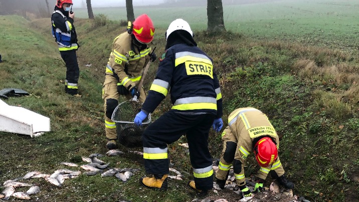 Kowalewo G&oacute;ry. Przewr&oacute;cił się samoch&oacute;d przewożący ryby