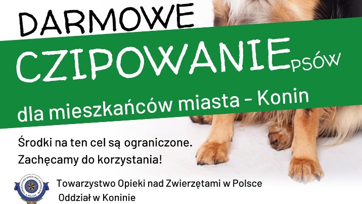 Konin. Bezpłatne czipowanie w trzech przychodniach. Projekt KBO