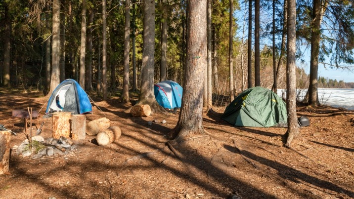 Od maja można legalnie nocować w lesie w specjalnych strefach