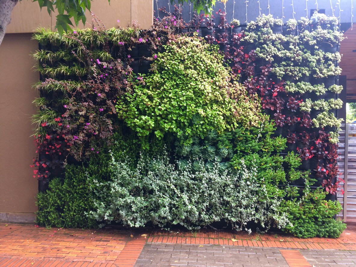 Ogród wertykalny - czym jest zielona ściana we wnętrzach