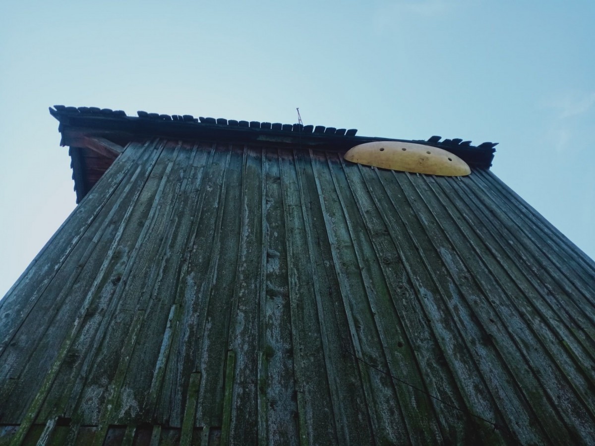 Dom dla jerzyków na muzealnym wiatraku