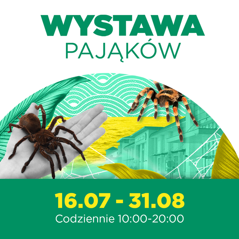 Egzotyczne pająki i skorpiony &ndash; niecodzienna wystawa  w Galerii nad Jeziorem