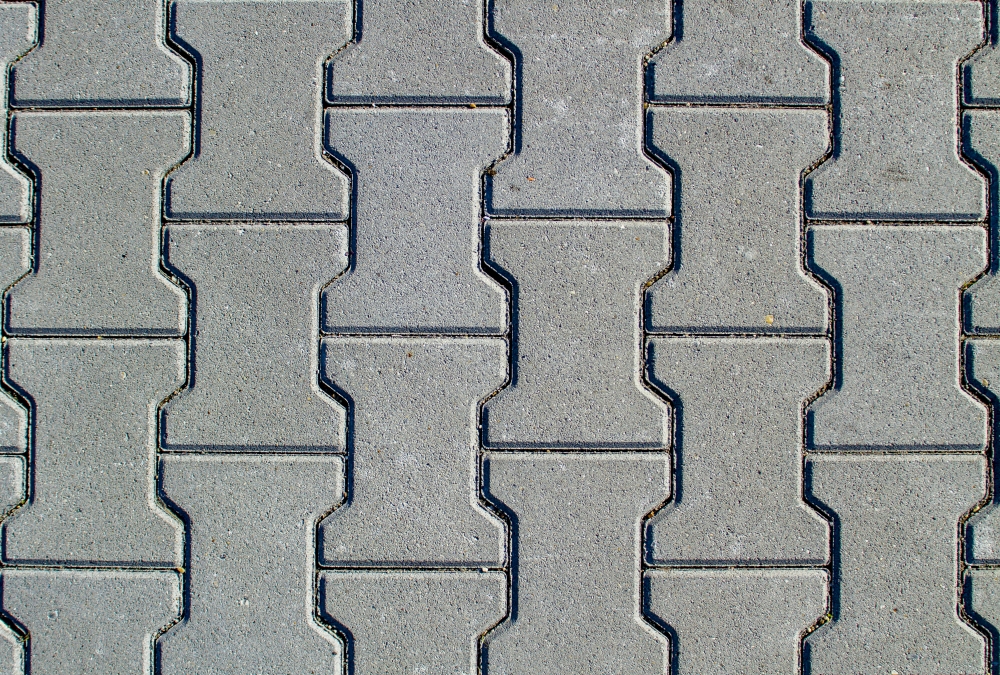 Czym żyliśmy w 2022 roku? Zobacz co się wydarzyło w listopadzie