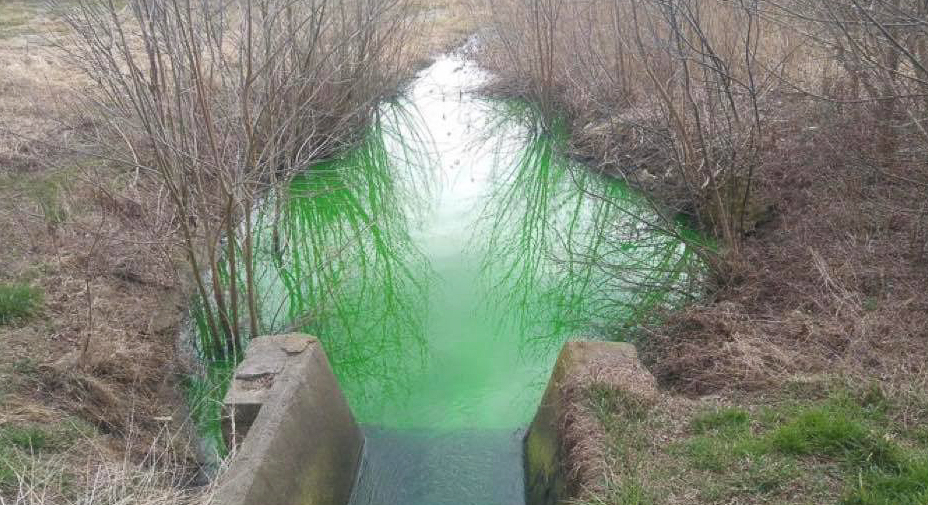 Zielona woda wypływa z kanału na Glince. Co się stało?