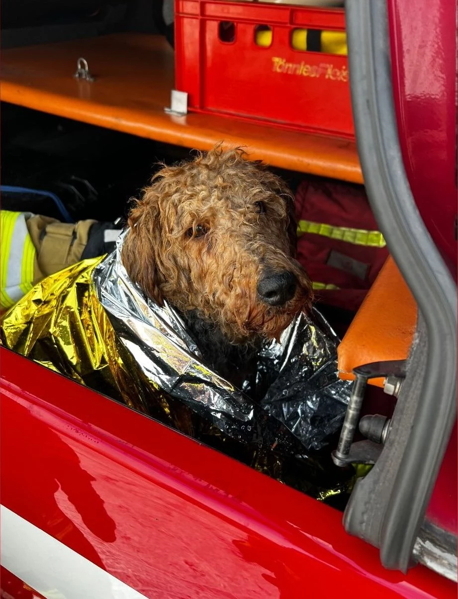 Pies w jeziorze. Konińscy strażacy natychmiast ruszyli z pomocą