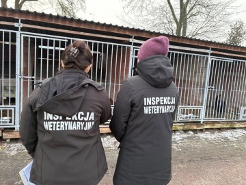 Schronisko w Turku pod lupą służb. Kontrola bez zastrzeżeń