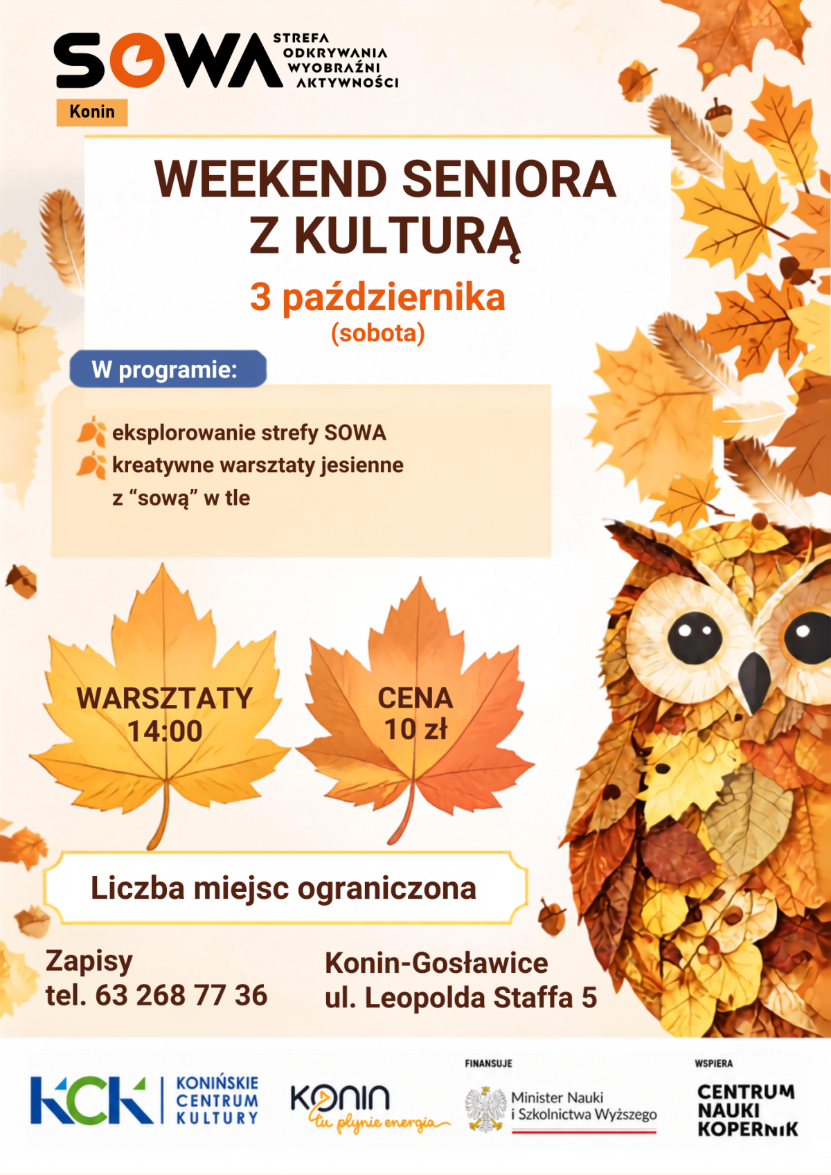 Warsztat jesienny dla seniorów! / Strefa SOWA