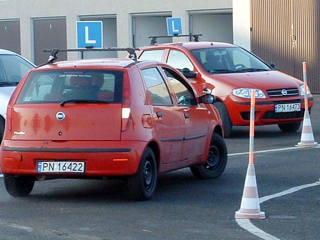 Narzekają na &39;elki&39;