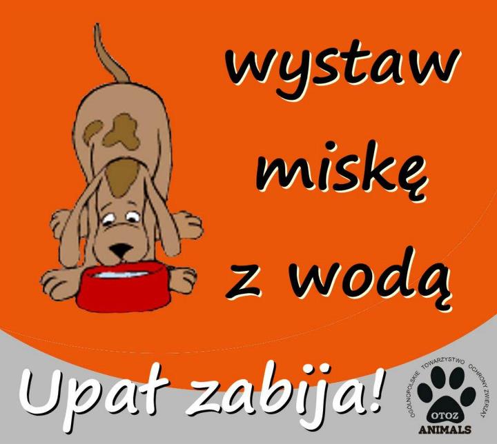 Upał zabija