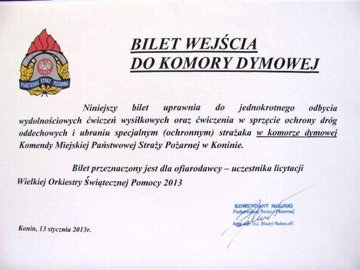 Drabina od strażak&oacute;w