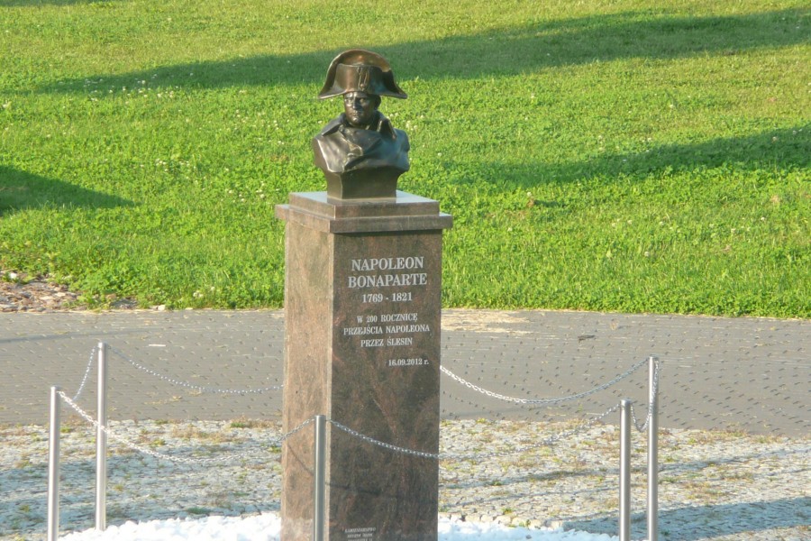 Napoleon niezniszczalny