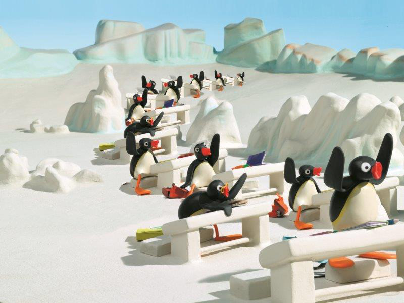 Pingwiny w Koninie